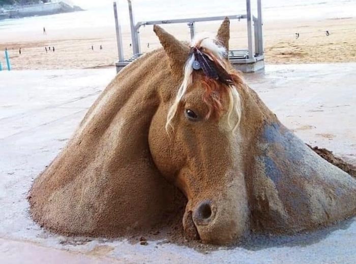 Horse Sand Sculptures